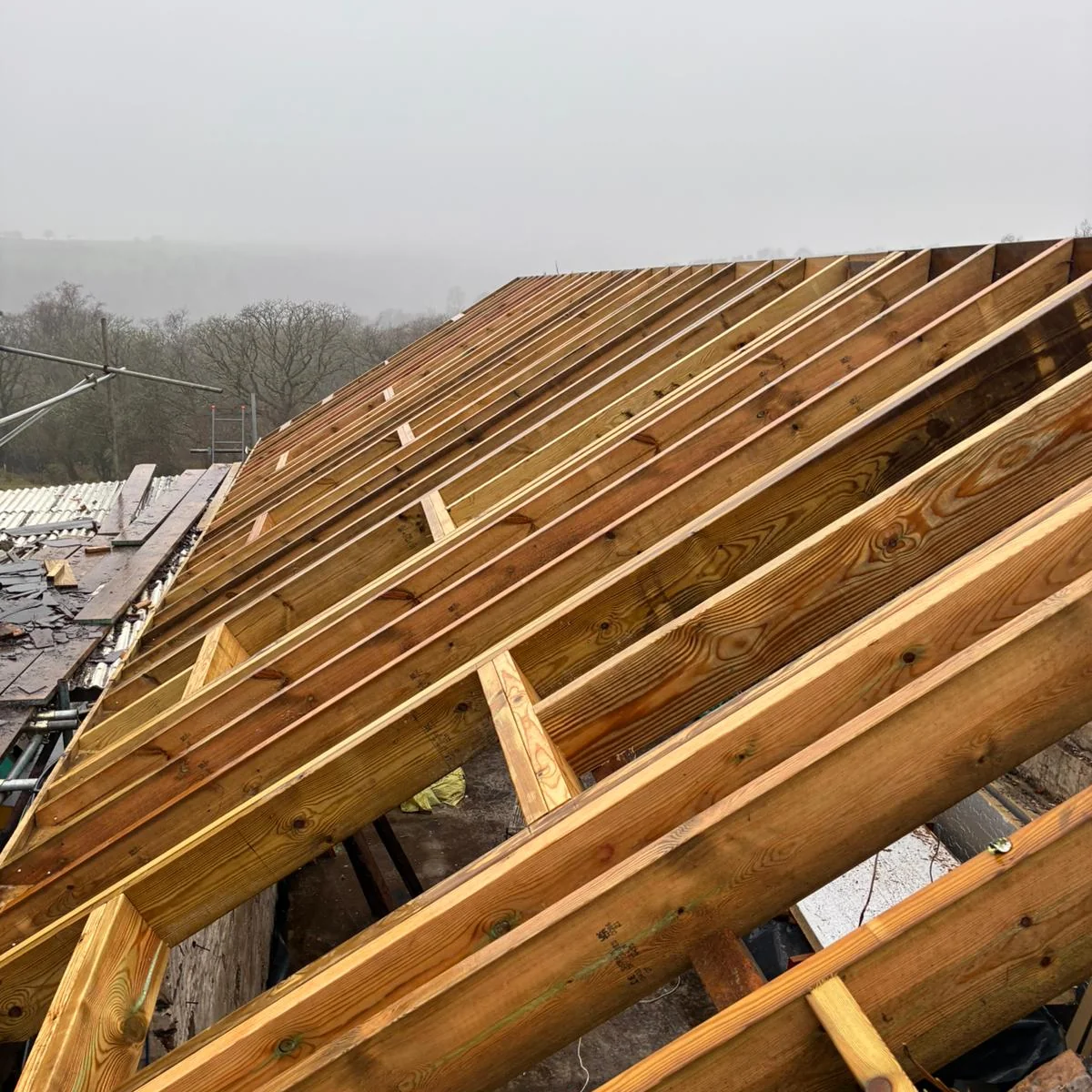 roof-joist-installation-swansea-daffodil-carpentry New roof joists installed on a Swansea barn conversion